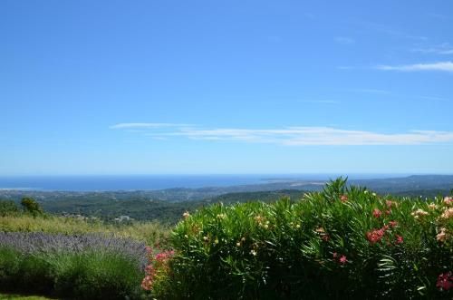 Outdoor Pictures 21