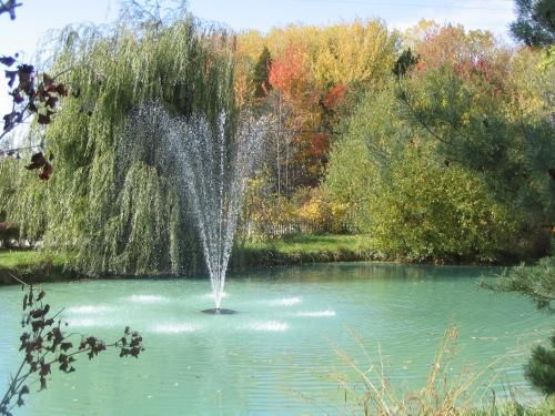 Outdoor Pictures 12