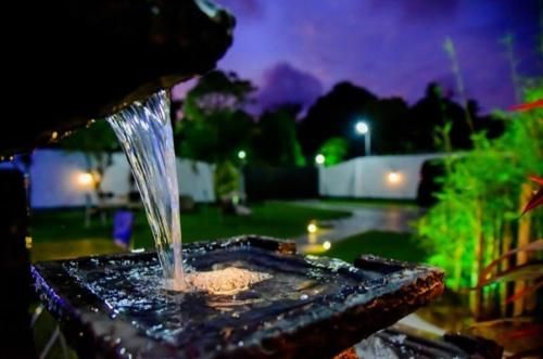 Outdoor Pictures 1
