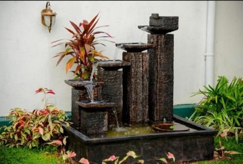 Outdoor Pictures 9