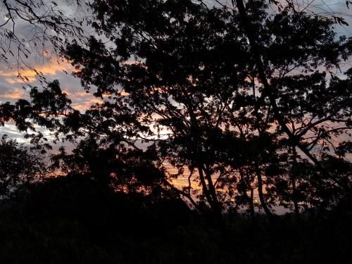 Outdoor Pictures 22