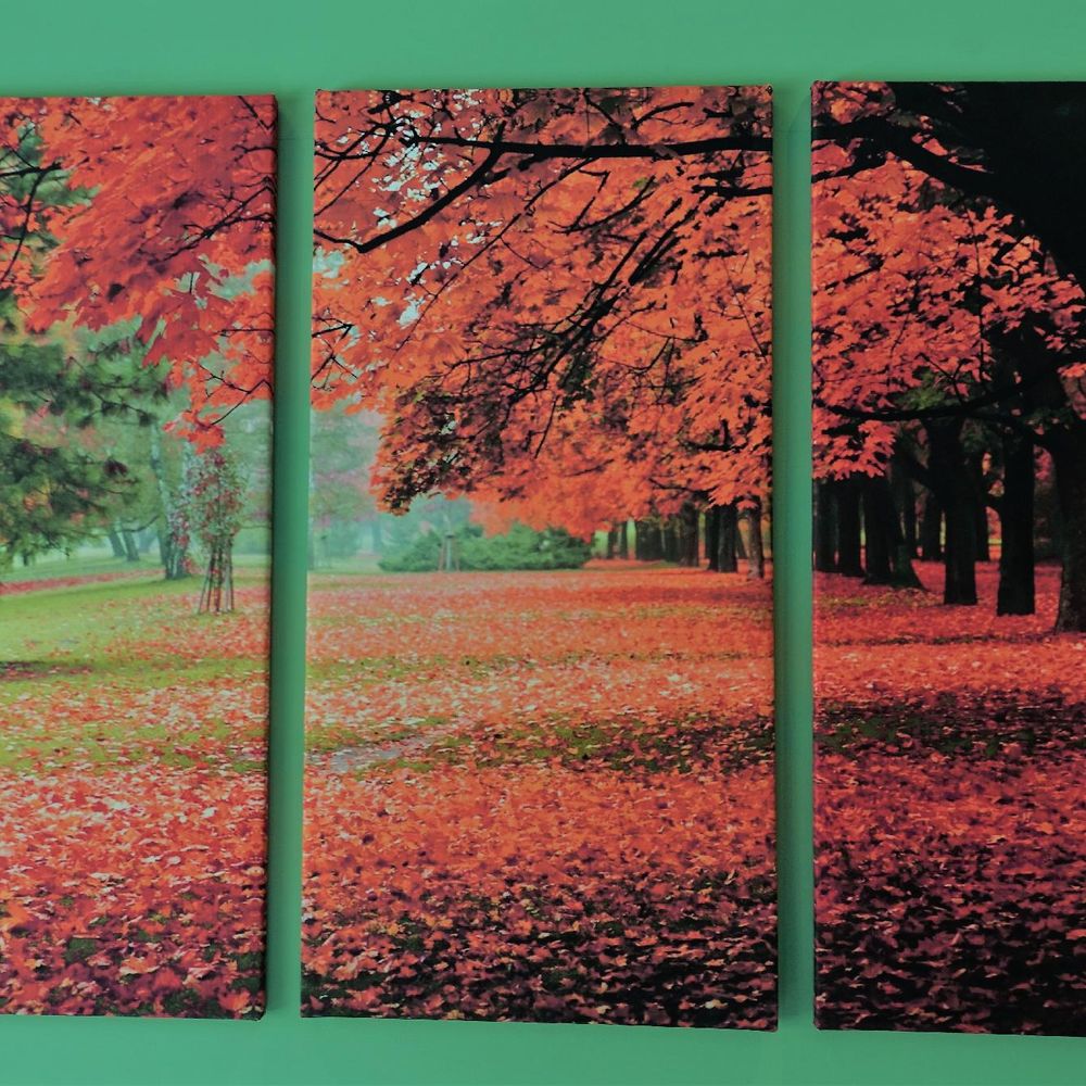 Outdoor Pictures 1