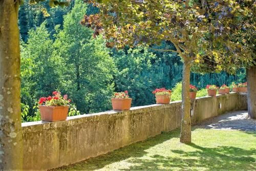 Outdoor Pictures 8