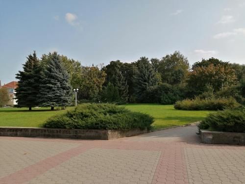 Outdoor Pictures 1