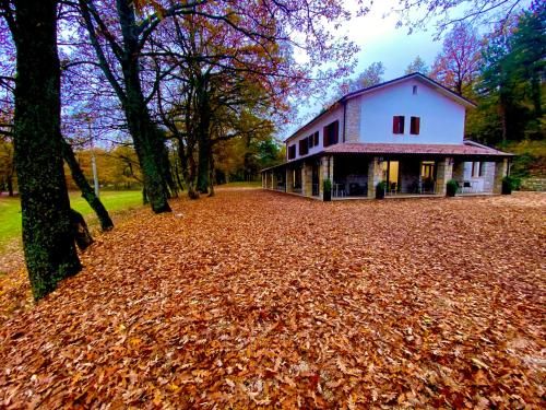 Outdoor Pictures 5
