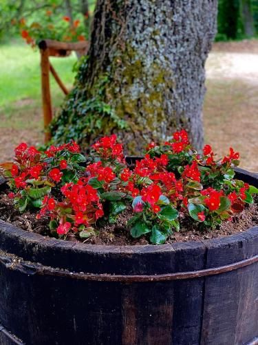 Outdoor Pictures 7