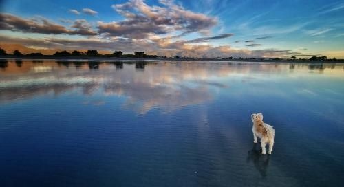 Outdoor Pictures 21