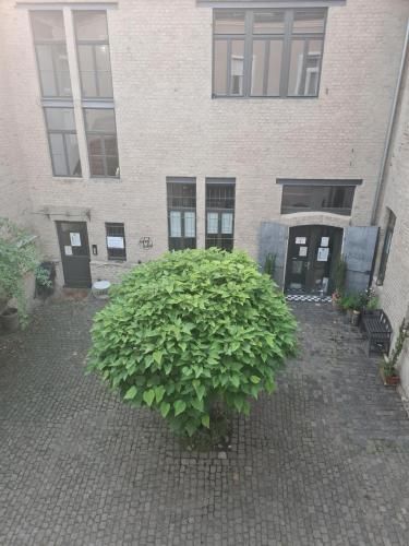 Loftapartment im historischen Fabrikambiente