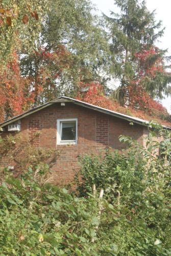 Das Landhauschen, Urlaub mit Hund im umzaunten Garten