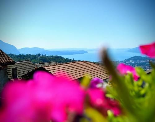 Outdoor Pictures 1