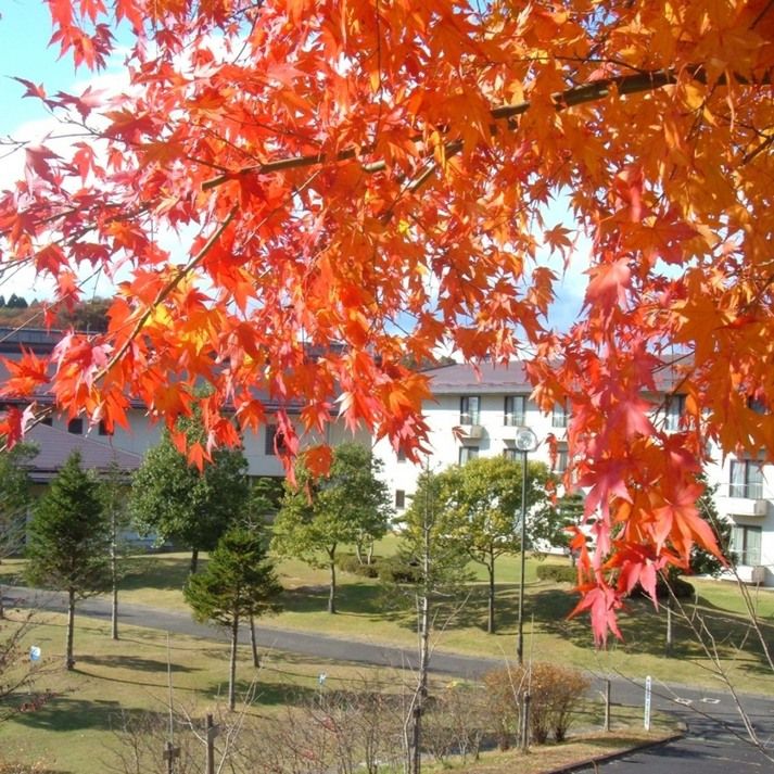 Tokyo Daiichi Hotel Iwanuma Resort