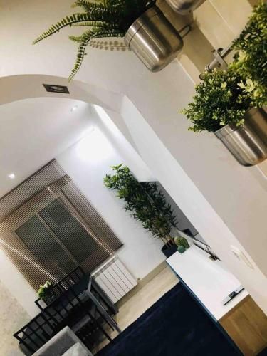 Apartamento Gvibes2