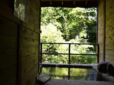 Outdoor Pictures 5