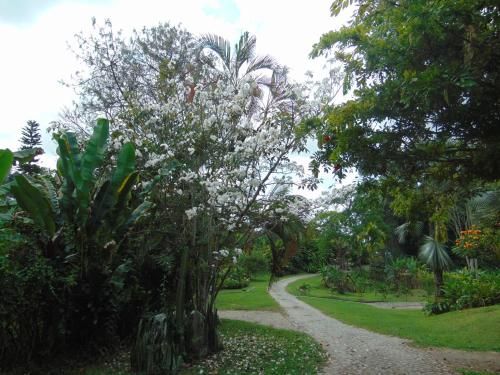 Outdoor Pictures 1
