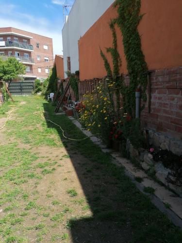 Outdoor Pictures 5
