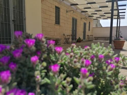 Outdoor Pictures 4