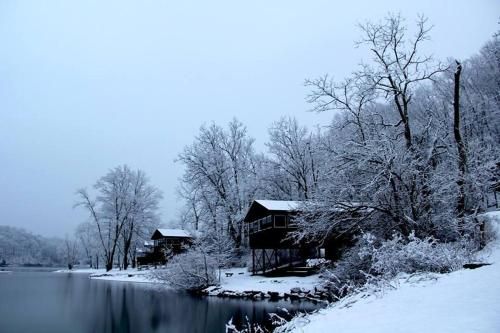 Outdoor Pictures 4