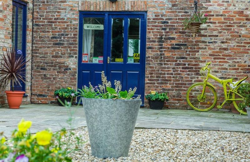 Newsham Grange Farm Bed and Breakfast