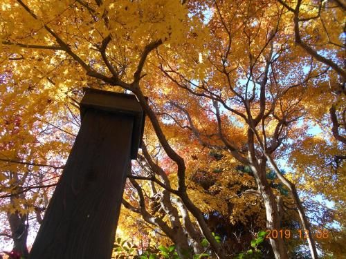 Outdoor Pictures 4