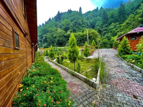 Outdoor Pictures 21
