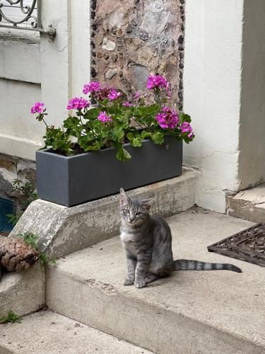 Outdoor Pictures 2