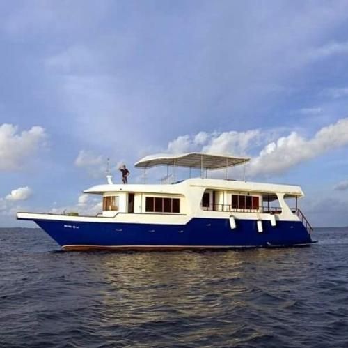 Noah Safari Vessel