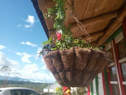 Outdoor Pictures 1