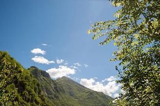 Outdoor Pictures 4