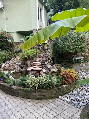 Outdoor Pictures 11