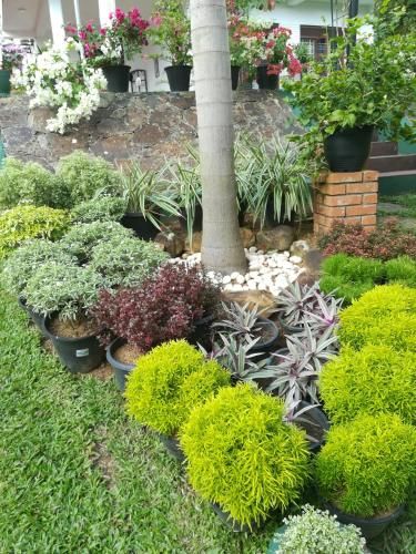 Outdoor Pictures 7