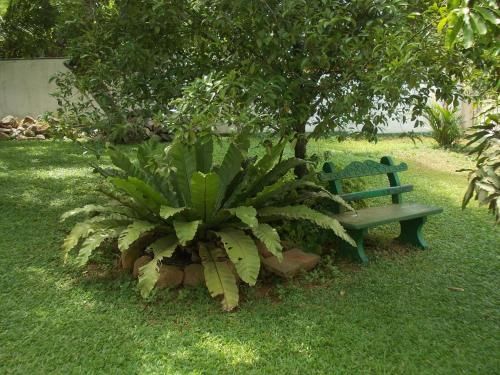 Outdoor Pictures 18
