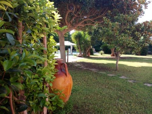 Outdoor Pictures 13