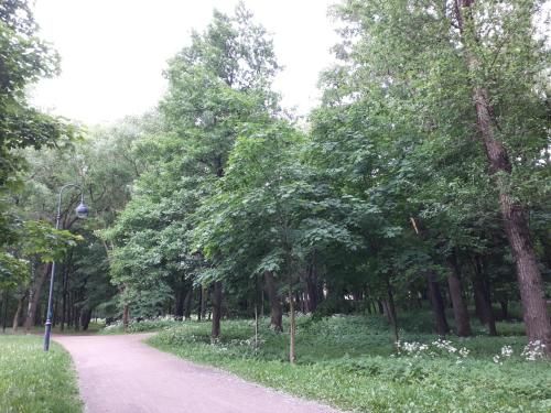 Outdoor Pictures 7
