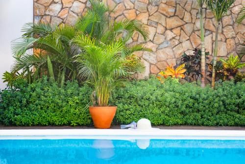 Outdoor Pictures 23