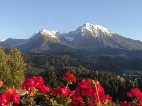 Outdoor Pictures 24