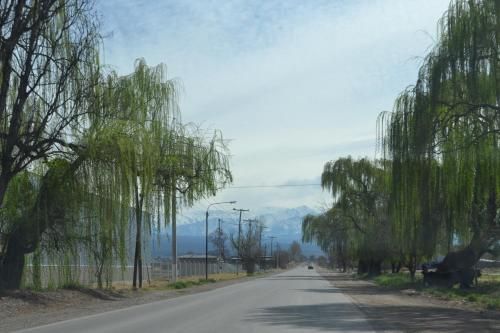 Outdoor Pictures 9