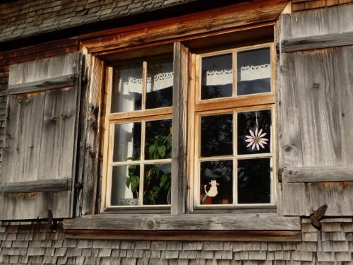 Outdoor Pictures 6