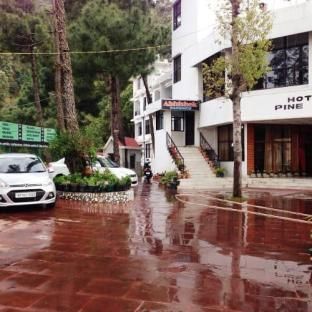 Hotel Pine Grove