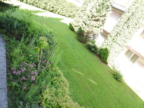 Outdoor Pictures 11