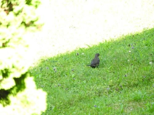 Outdoor Pictures 21