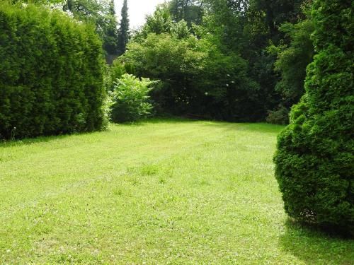 Outdoor Pictures 22