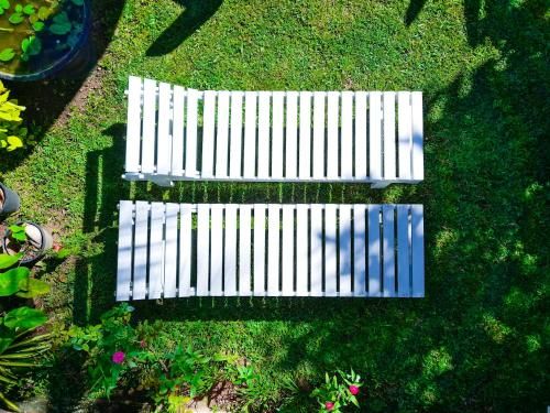 Outdoor Pictures 23