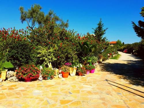 Outdoor Pictures 5