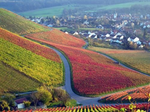 Landpension Wachtkopf Ferienwohnungen