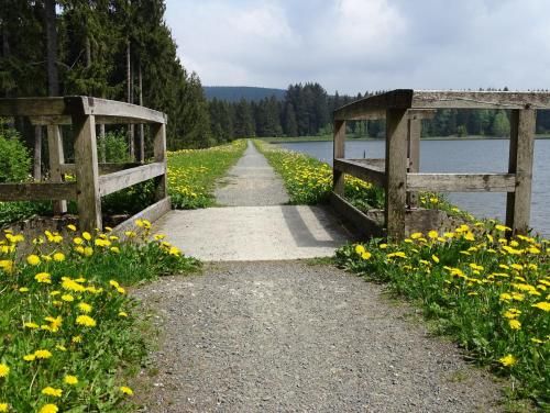 App Sweet Harz Haus am See -Panoramablick