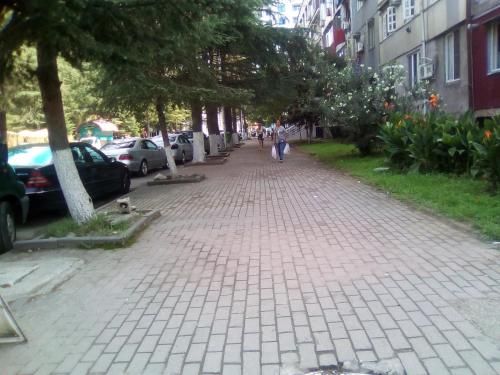 Outdoor Pictures 3