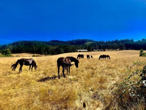 Outdoor Pictures 7