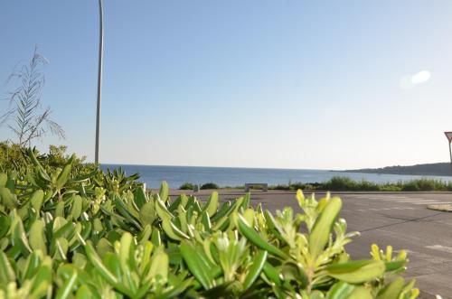 Outdoor Pictures 3