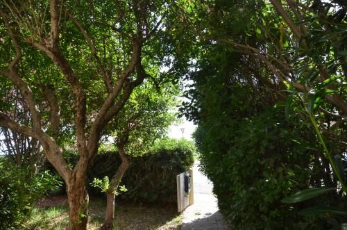 Outdoor Pictures 15