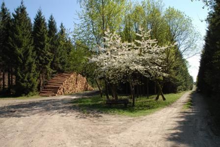 Outdoor Pictures 24